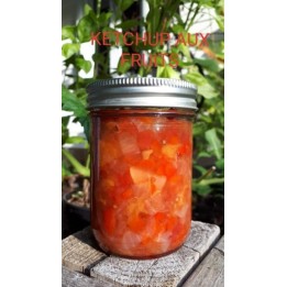 Ketchup aux fruits (250 ml)