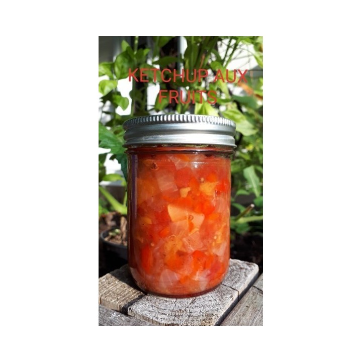 Ketchup aux fruits (250 ml)